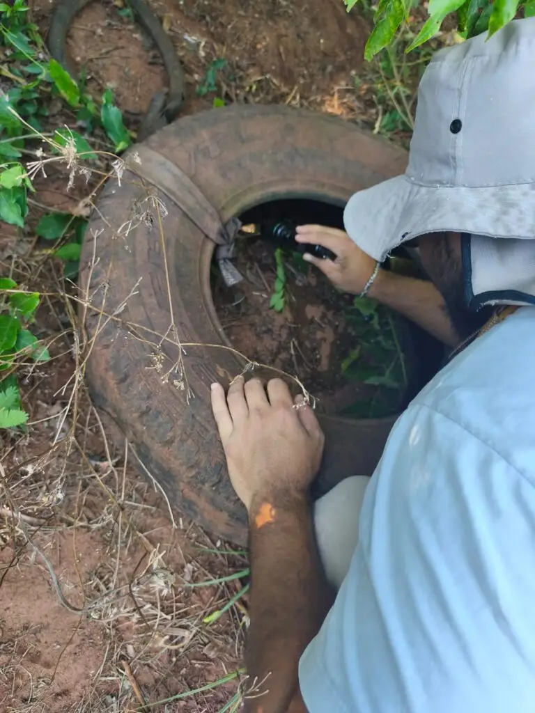Aldeia Amambai recebe Dia D de combate às arboviroses com ação integrada