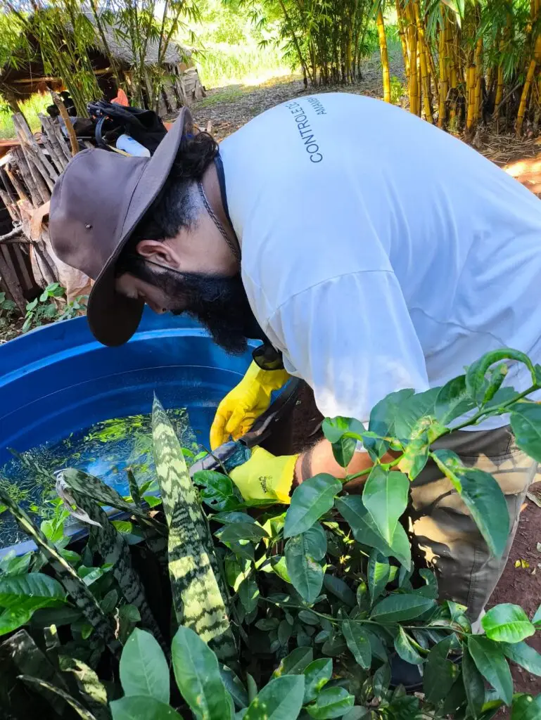 Aldeia Amambai recebe Dia D de combate às arboviroses com ação integrada