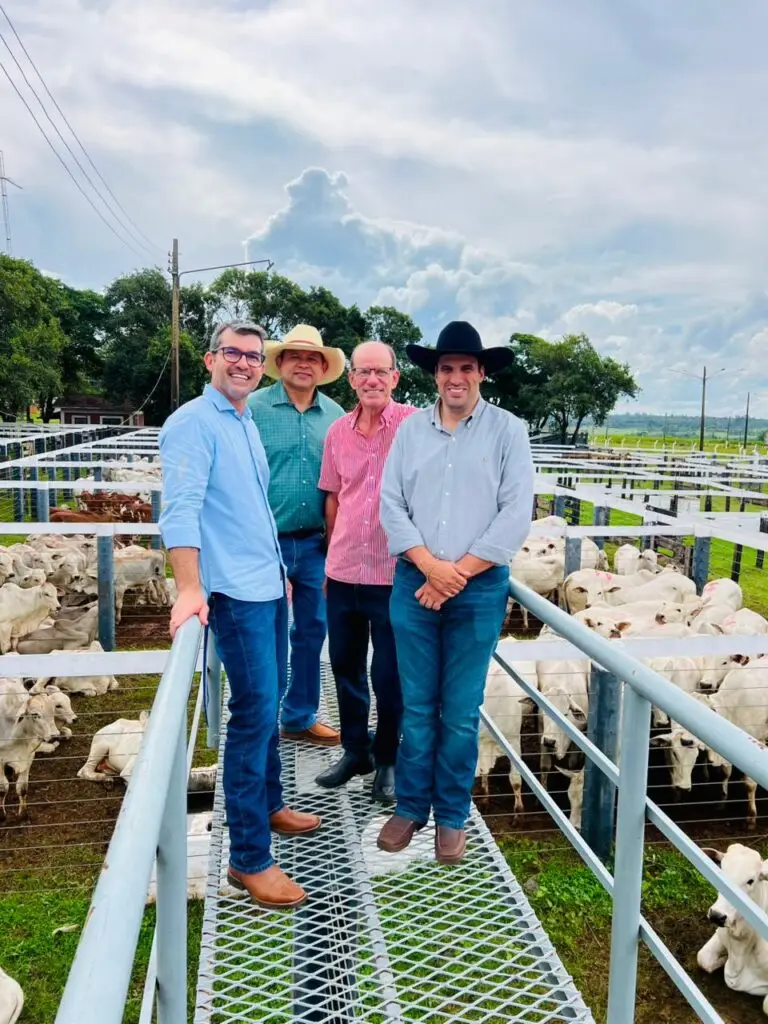 5º Leilão do Sindicato Rural e Associados fortalece pecuária e impulsiona economia em Amambai