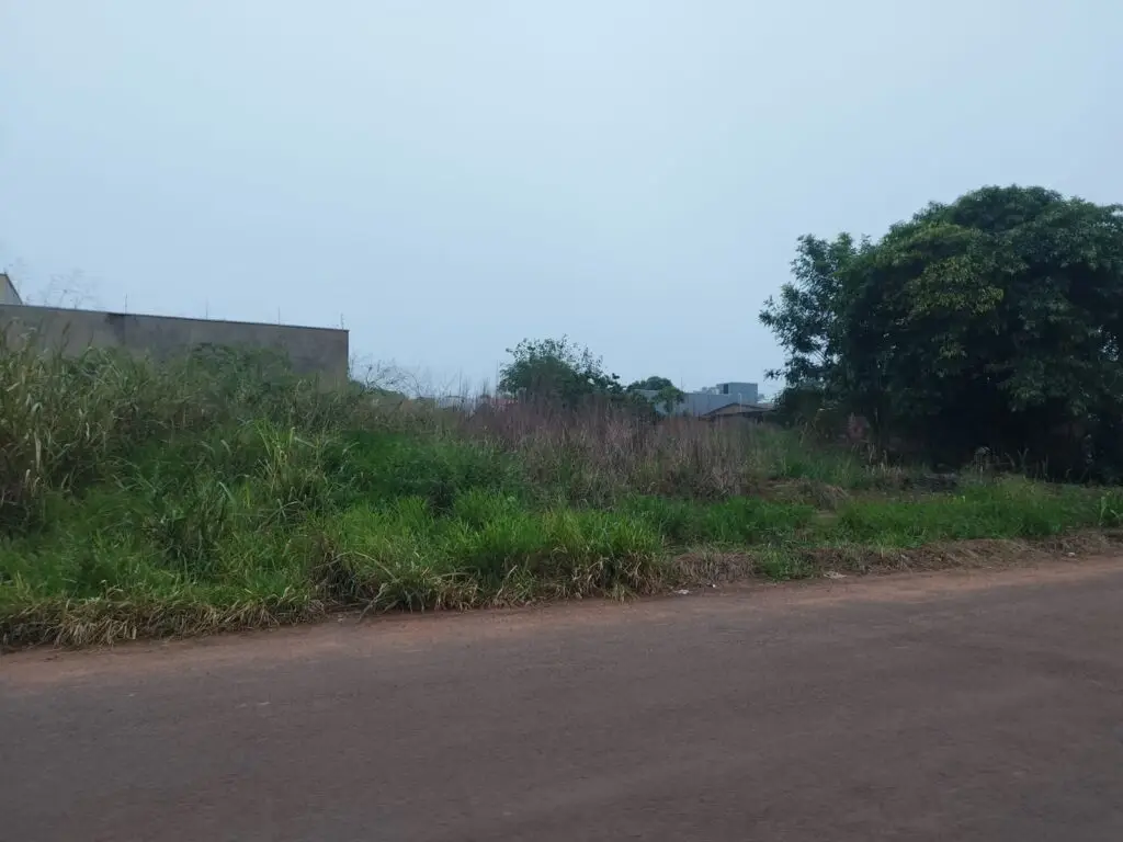 Éder Pinzan pede informações sobre aplicação da lei de limpeza de terrenos em Amambai Éder Pinzan pede informações sobre aplicação da lei de limpeza de terrenos em Amambai