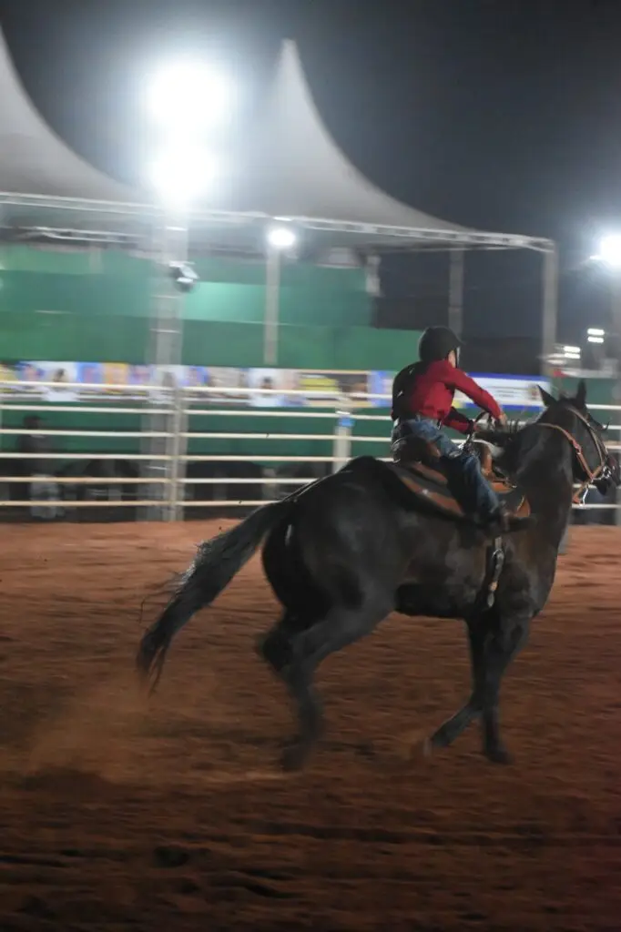 Cavaleiros iguatemienses se destacam na Prova dos Três Tambores na Expotac 2026, em Tacuru Cavaleiros iguatemienses se destacam na Prova dos Três Tambores na Expotac 2026, em Tacuru