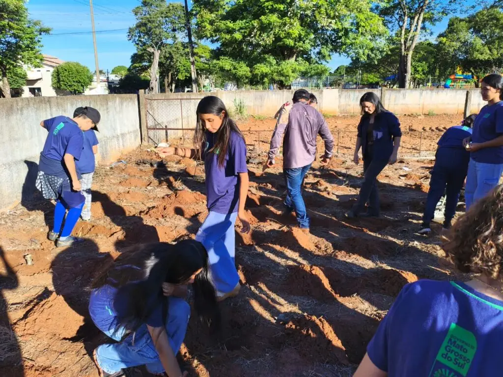 Escola estadual desenvolve prática do cultivo da mandioca em Iguatemi Escola estadual desenvolve prática do cultivo da mandioca em Iguatemi