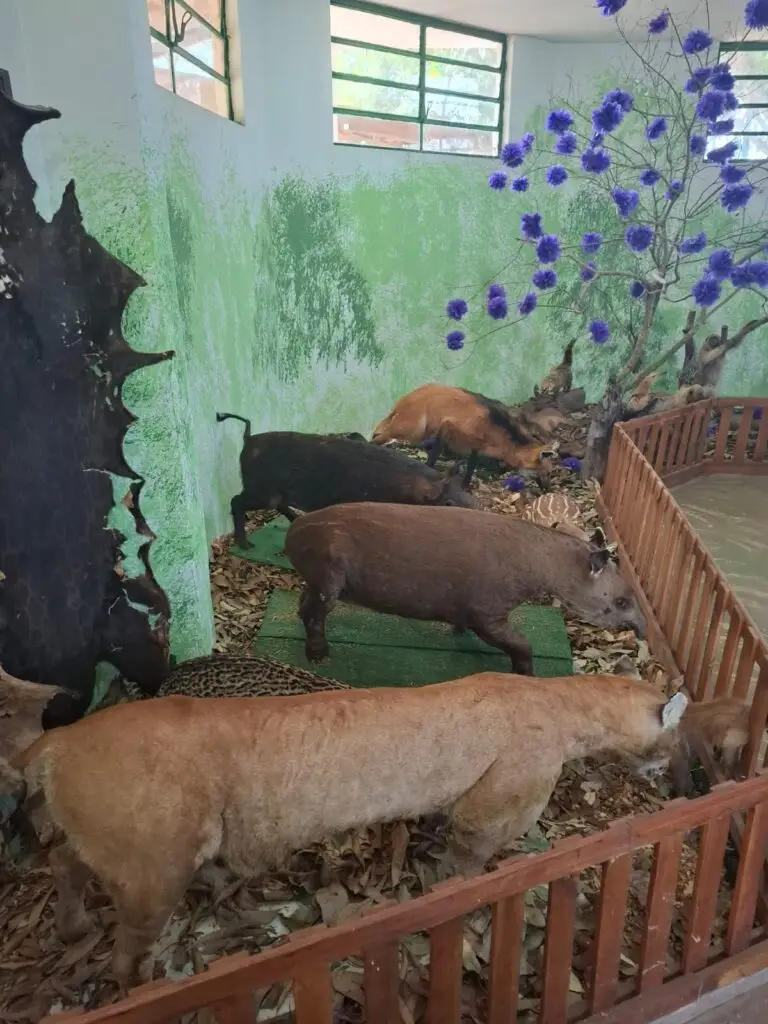 Prefeito de Amambai se reúne com comando da Polícia Militar Ambiental para fortalecer parcerias Prefeito de Amambai se reúne com comando da Polícia Militar Ambiental para fortalecer parcerias