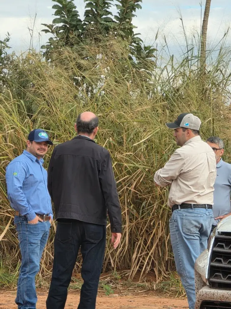 Vistoria define melhorias em estradas rurais com foco em drenagem e cascalhamento em Amambai Vistoria define melhorias em estradas rurais com foco em drenagem e cascalhamento em Amambai
