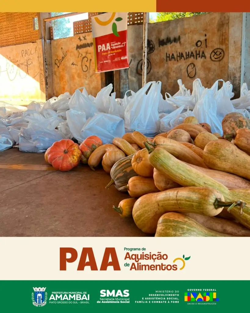 PAA Indígena beneficia 350 famílias com entrega de alimentos na Aldeia Amambai