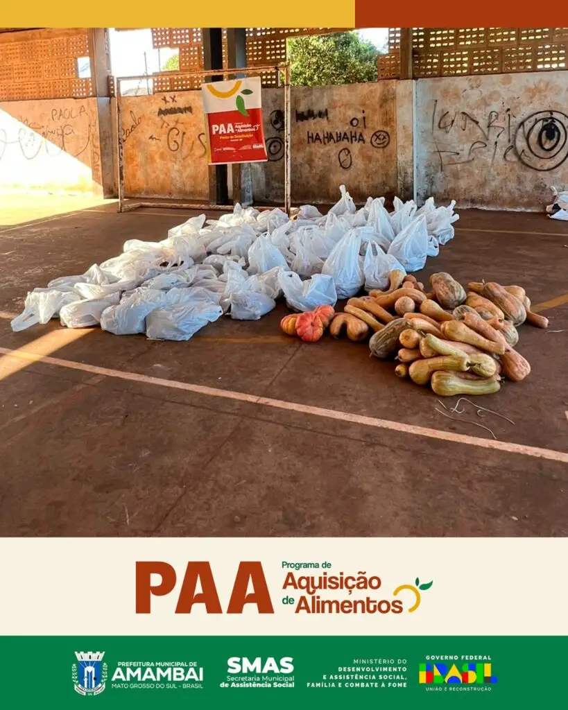 PAA Indígena beneficia 350 famílias com entrega de alimentos na Aldeia Amambai