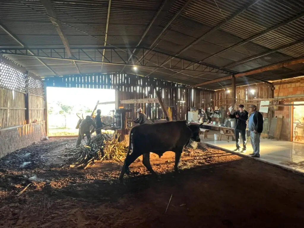 Visita do prefeito Sergio Barbosa destaca tradição da produção artesanal no campo em Amambai