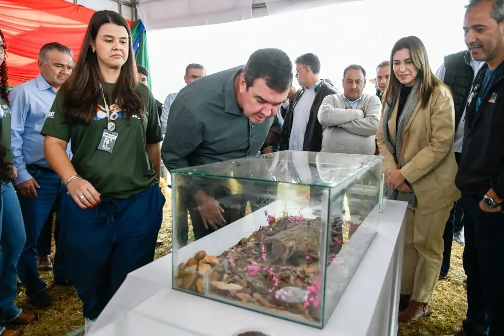 Com preservação e valorização econômica, Pantanal TechMS valoriza bioma e fortalece comunidades Com preservação e valorização econômica, Pantanal TechMS valoriza bioma e fortalece comunidades