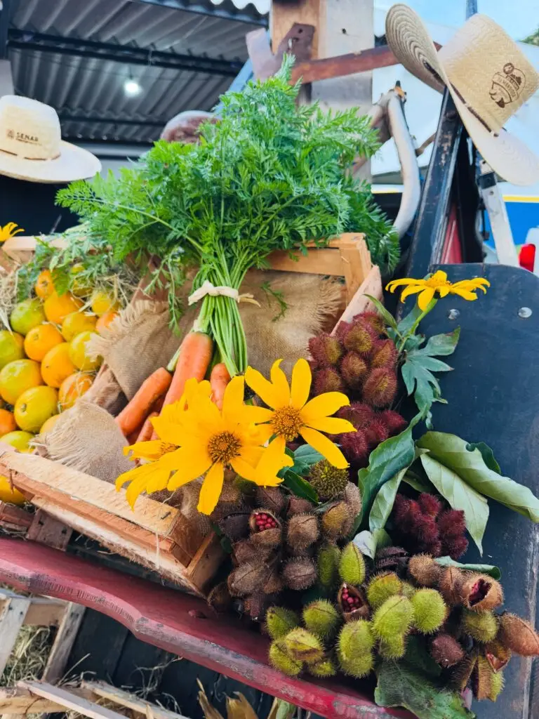 Feira do Produtor Rural e Empreendedor foi um sucesso em Tacuru Feira do Produtor Rural e Empreendedor foi um sucesso em Tacuru