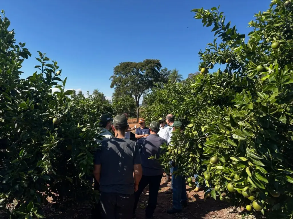 Com foco em inovação e desenvolvimento rural, Tacuru participa de missão técnica em Costa Rica e Chapadão do Sul Com foco em inovação e desenvolvimento rural, Tacuru participa de missão técnica em Costa Rica e Chapadão do Sul