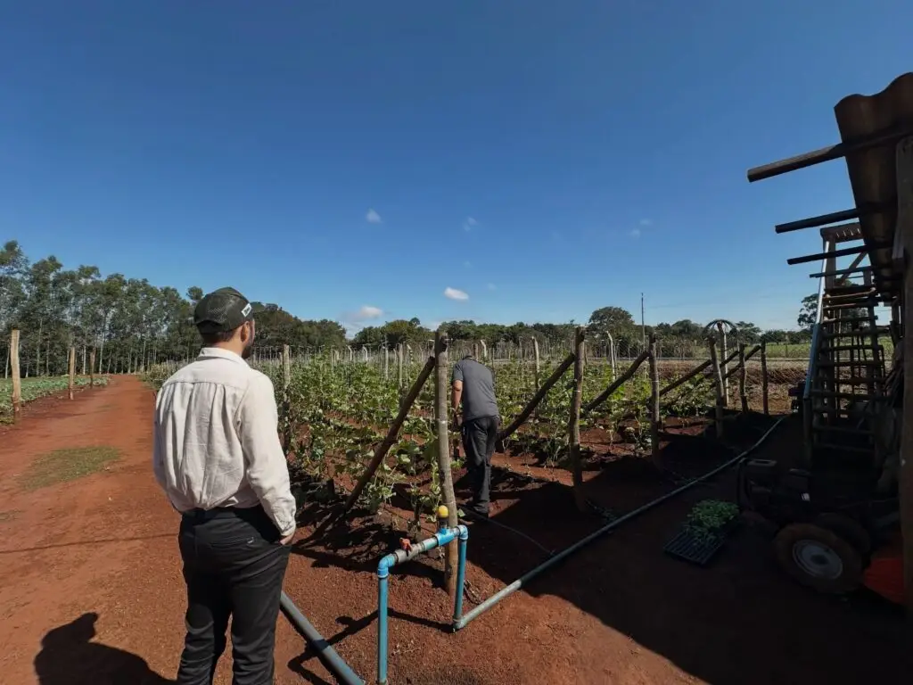 Com foco em inovação e desenvolvimento rural, Tacuru participa de missão técnica em Costa Rica e Chapadão do Sul Com foco em inovação e desenvolvimento rural, Tacuru participa de missão técnica em Costa Rica e Chapadão do Sul