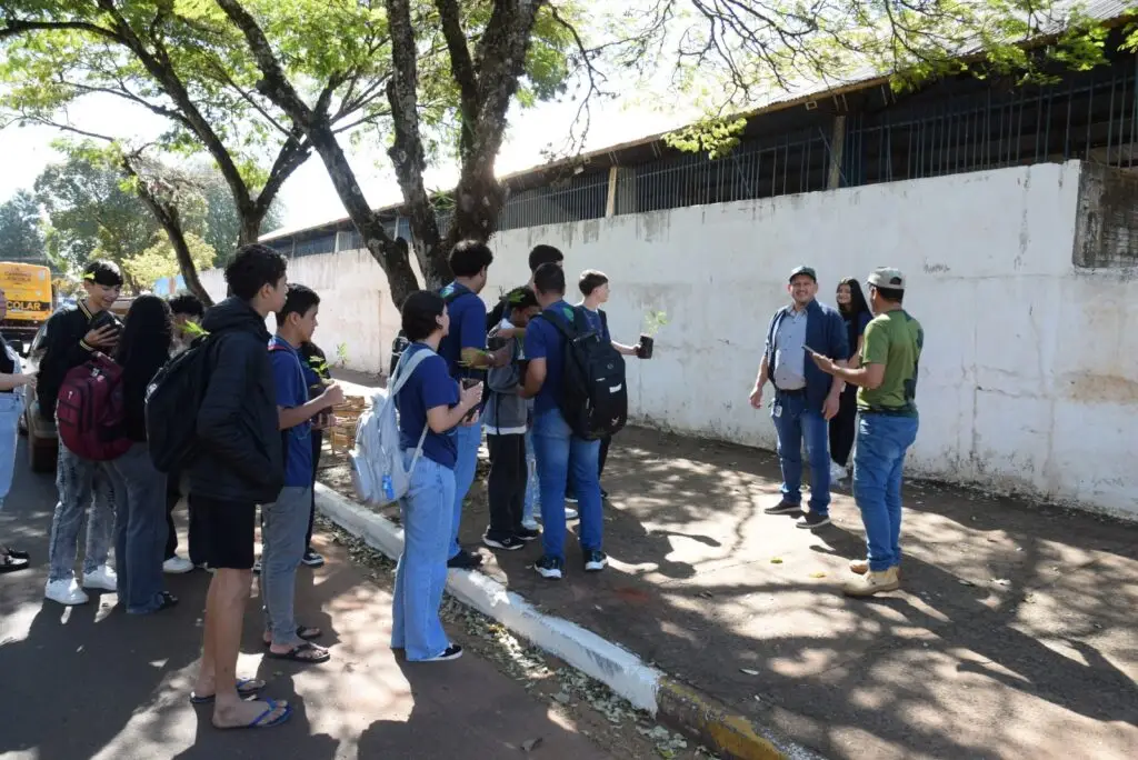 Iguatemi: Secretaria de Meio Ambiente promove plantio de árvores em frente à Escola Oito de Maio